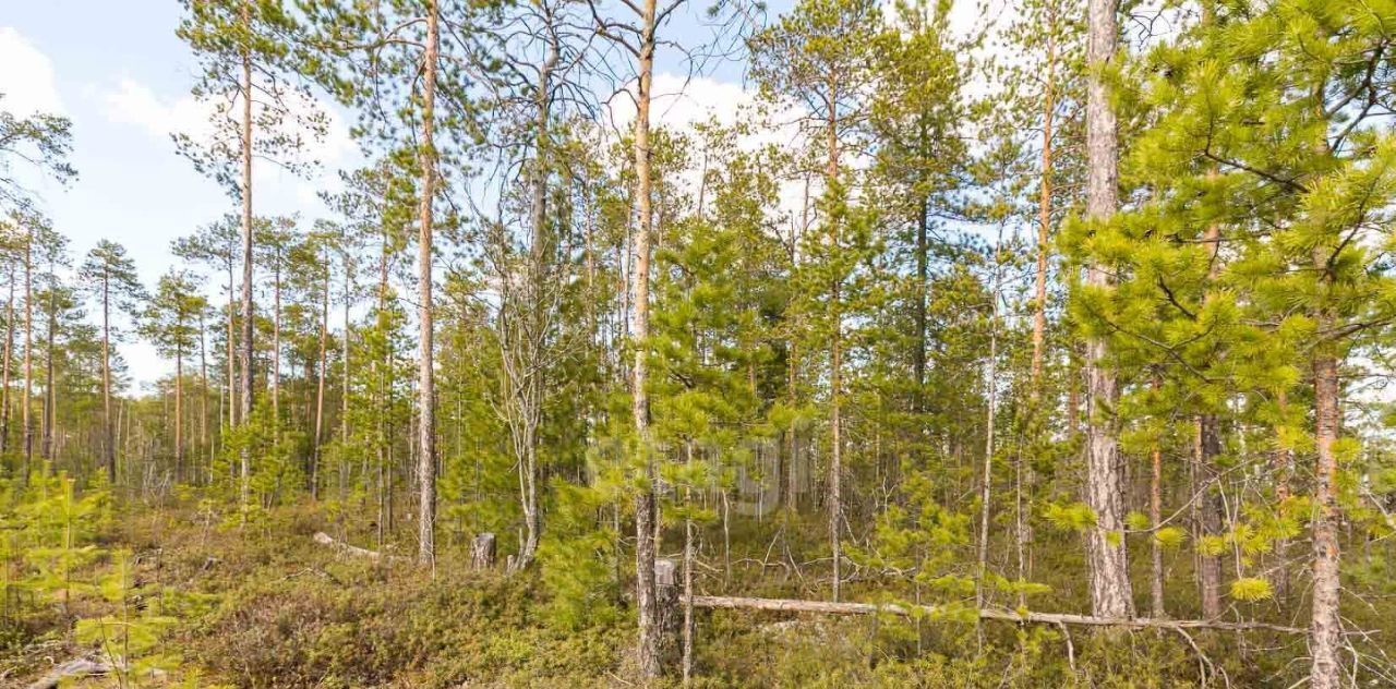 земля р-н Сургутский с/п Солнечный п Солнечный пос, Малинка ДНТ, ул. 5-я фото 8