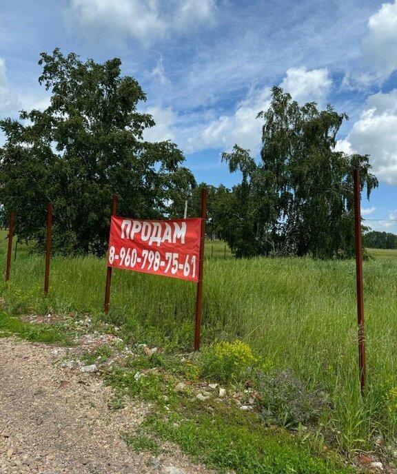 земля р-н Новосибирский снт Березка Верх-Тулинский сельсовет фото 4