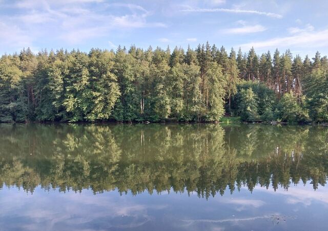 р-н Кромской п Зелёная Роща Гуторовское сельское поселение, Кромы фото