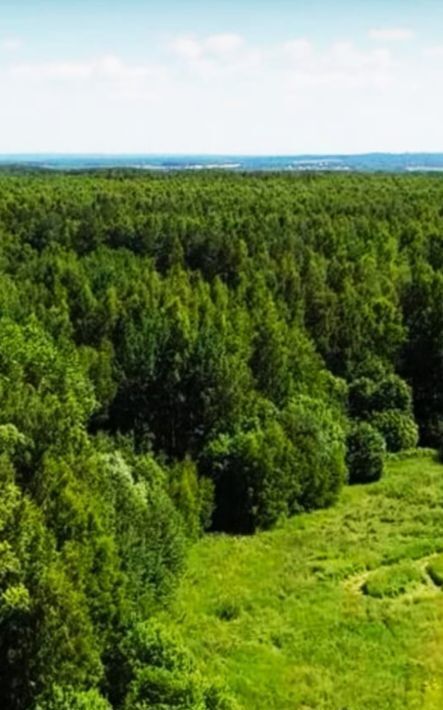 земля городской округ Дмитровский д Базарово ул Центральная Хлебниково фото 13