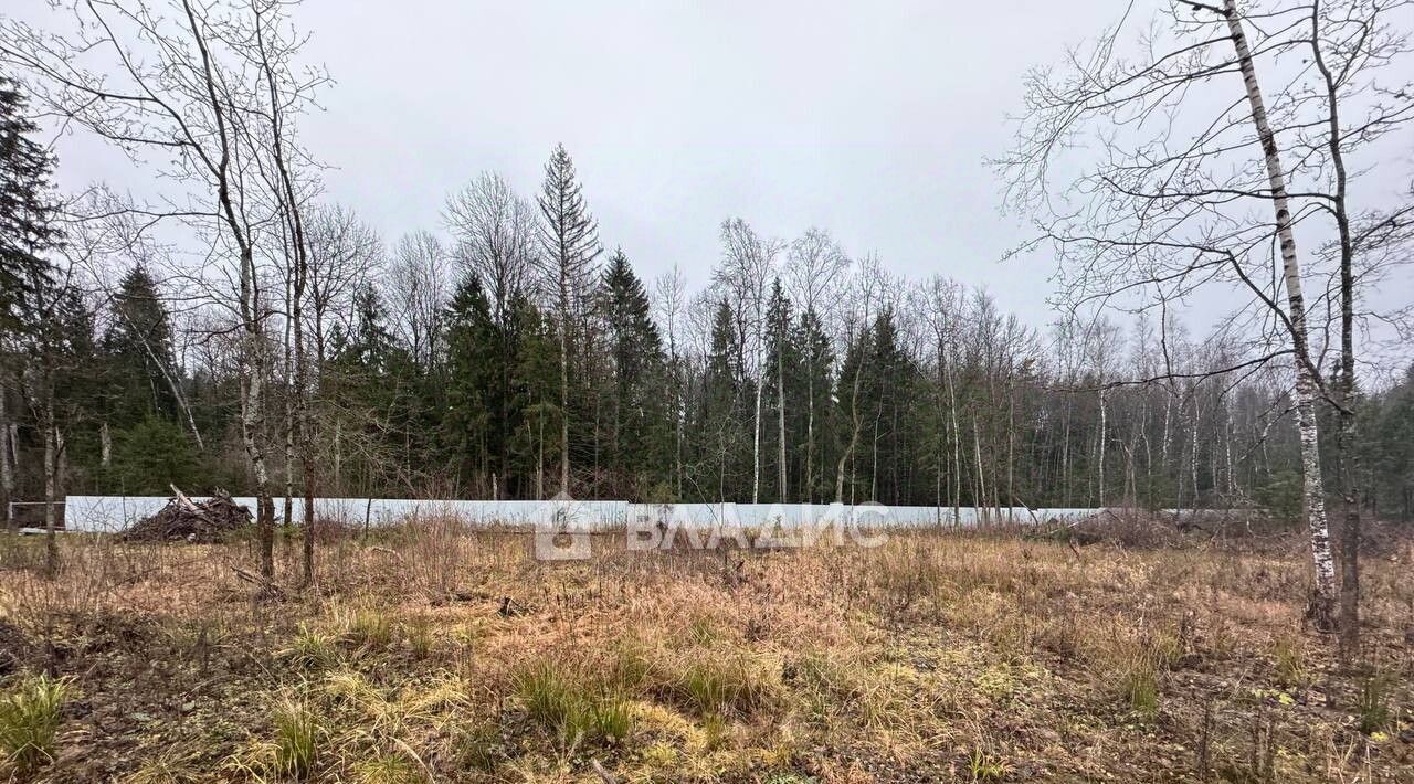 земля городской округ Наро-Фоминский Лесная Аллея кп, 131 фото 9