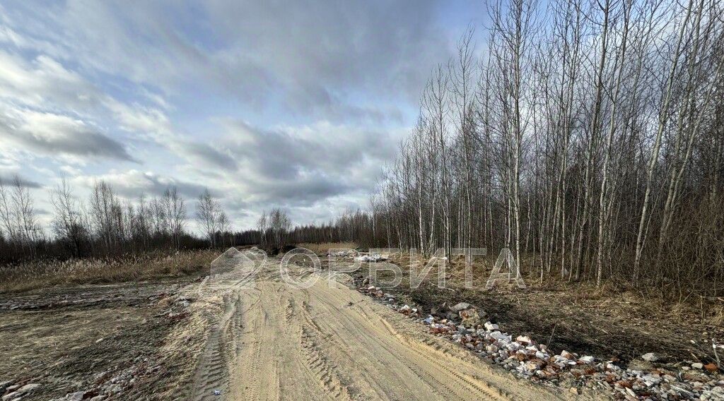 земля г Тюмень р-н Центральный микрорайон Пушкин ул. Дубровская фото 2