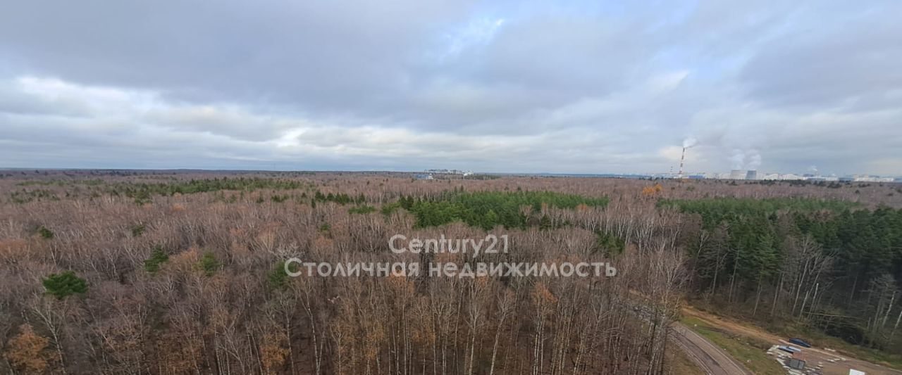 квартира городской округ Мытищи п Нагорное ул Полковника Романова 11 ЖК «Датский квартал» Медведково фото 4