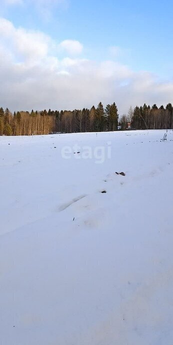 дом г Добрянка д Залесная фото 6