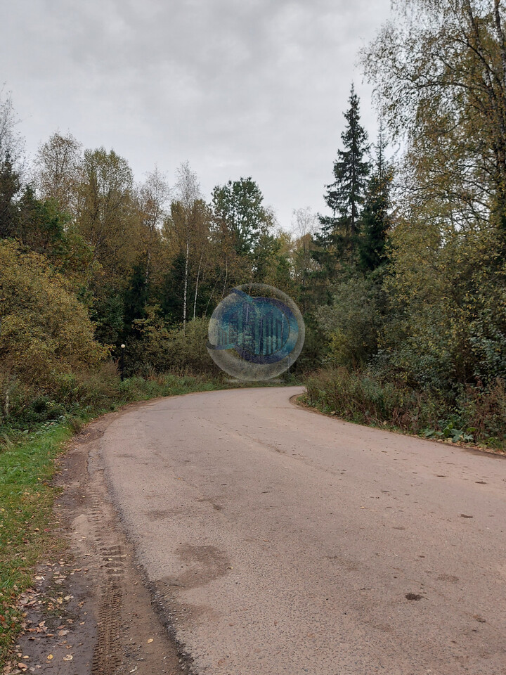 земля городской округ Пушкинский д Могильцы Ярославское шоссе фото 19