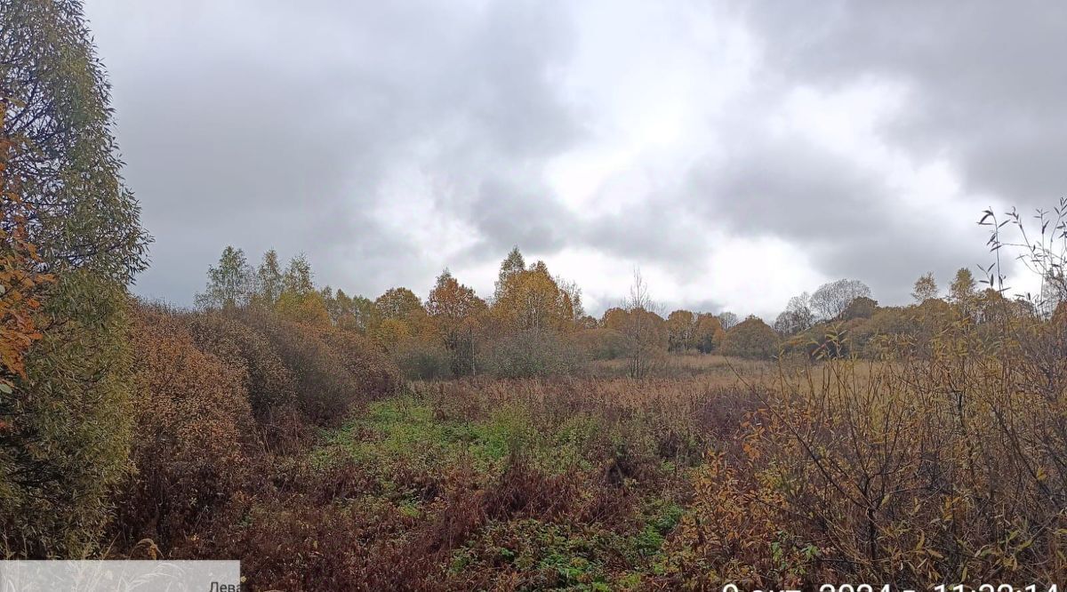 офис городской округ Можайский д Левашово ул Новая фото 1