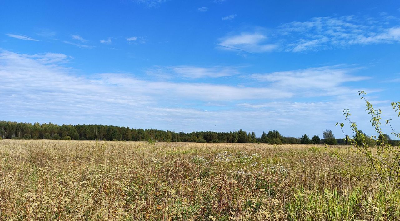 офис городской округ Раменский д Володино фото 1