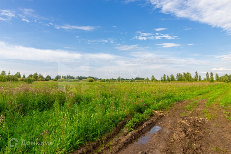 земля р-н Тюменский фото 1