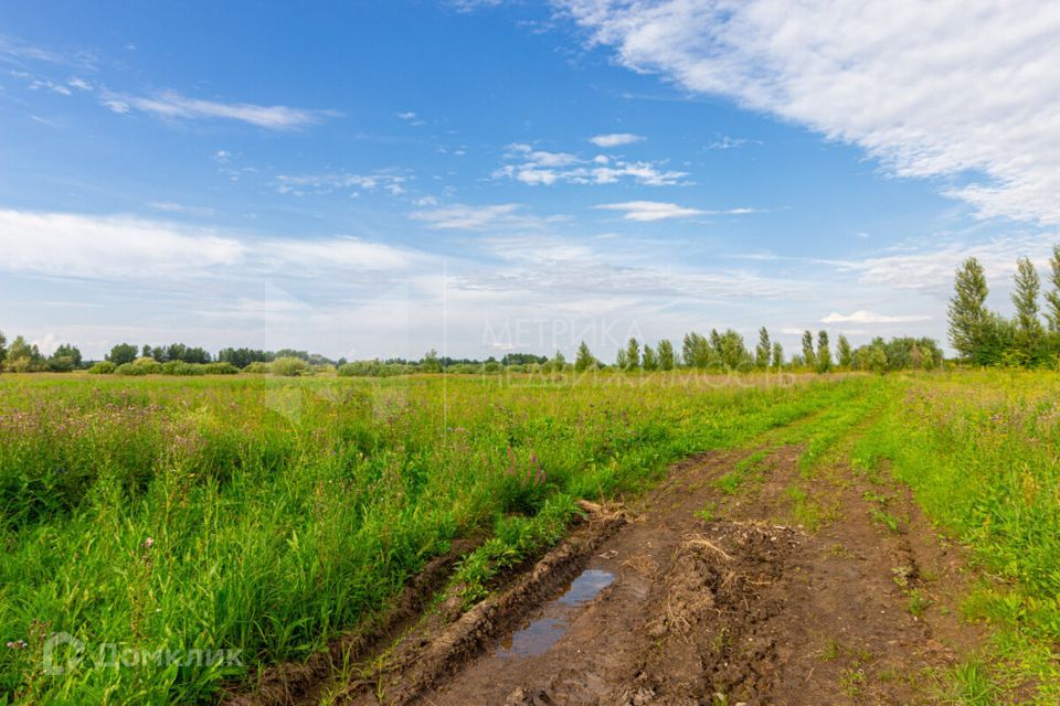 земля р-н Тюменский фото 8