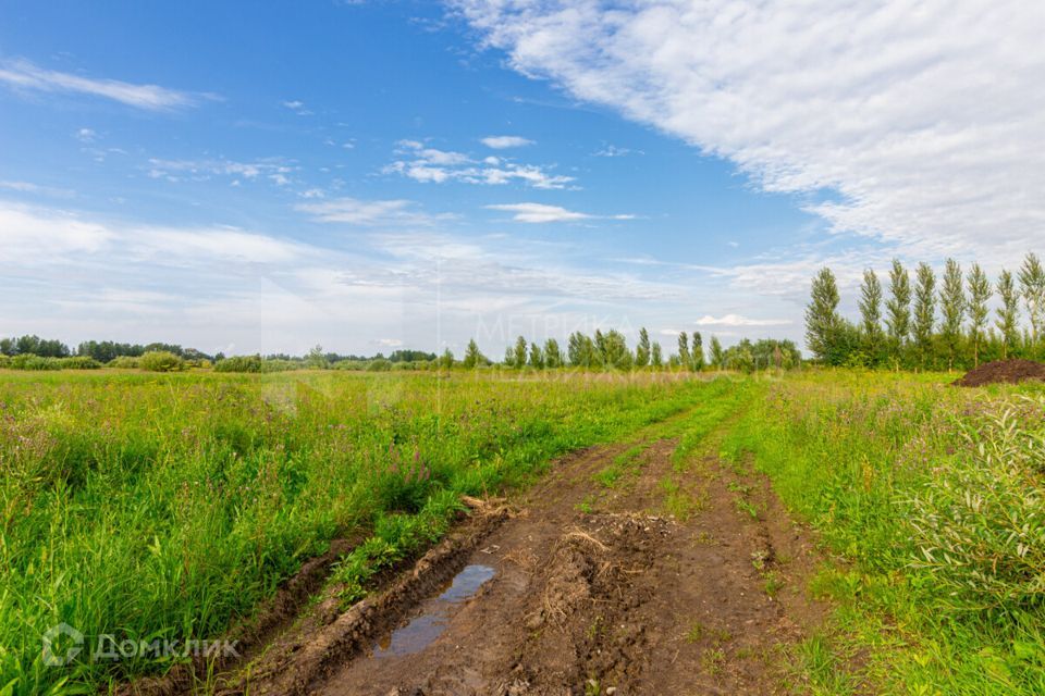 земля р-н Тюменский фото 7