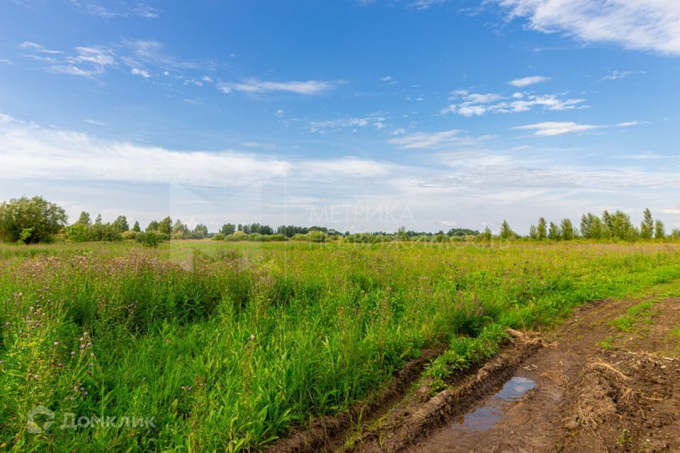 земля р-н Тюменский фото 9