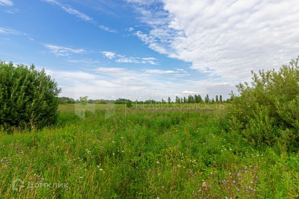 земля р-н Нижнетавдинский с Нижняя Тавда улица Максима Горького фото 8