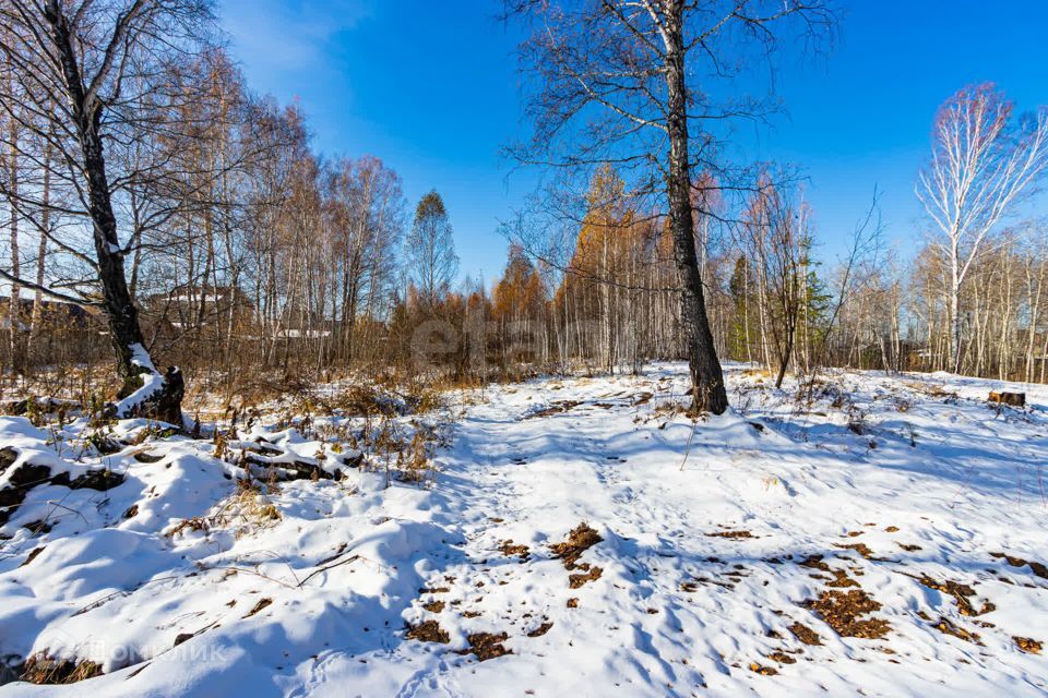 земля р-н Тюменский с Перевалово Сиреневая фото 7