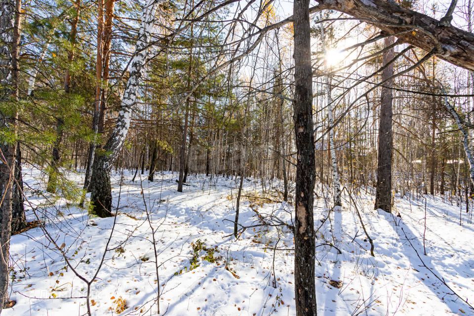 земля р-н Тюменский с Перевалово Сиреневая фото 5