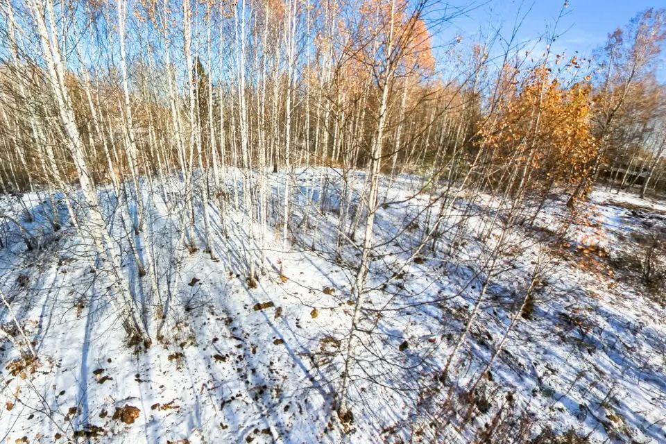 земля р-н Тюменский с Перевалово Сиреневая фото 3