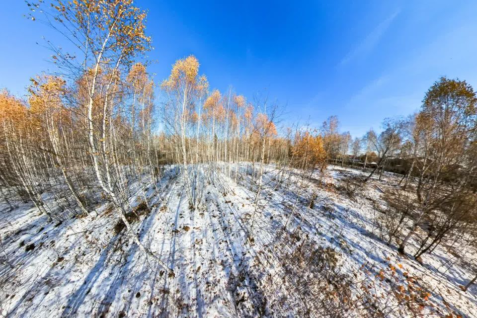 земля р-н Тюменский с Перевалово Сиреневая фото 7