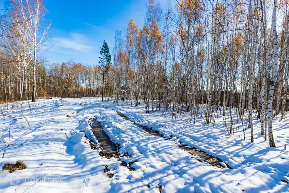 земля р-н Тюменский с Перевалово Сиреневая фото 9