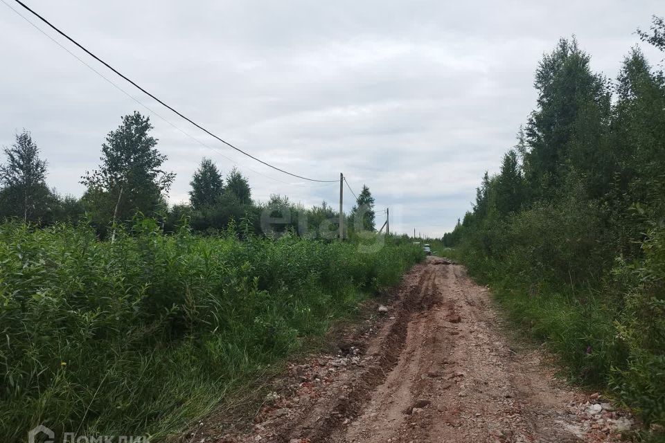 земля г Тюмень Тюмень городской округ, СНТ Большое Царёво-2 фото 6