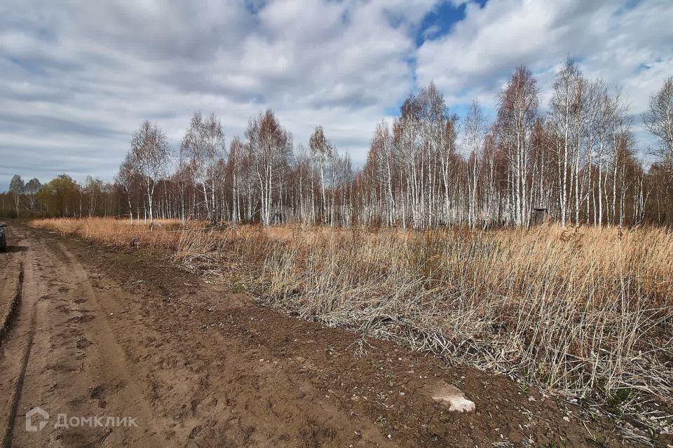 земля р-н Тюменский рп Боровский ул Солнечная фото 5