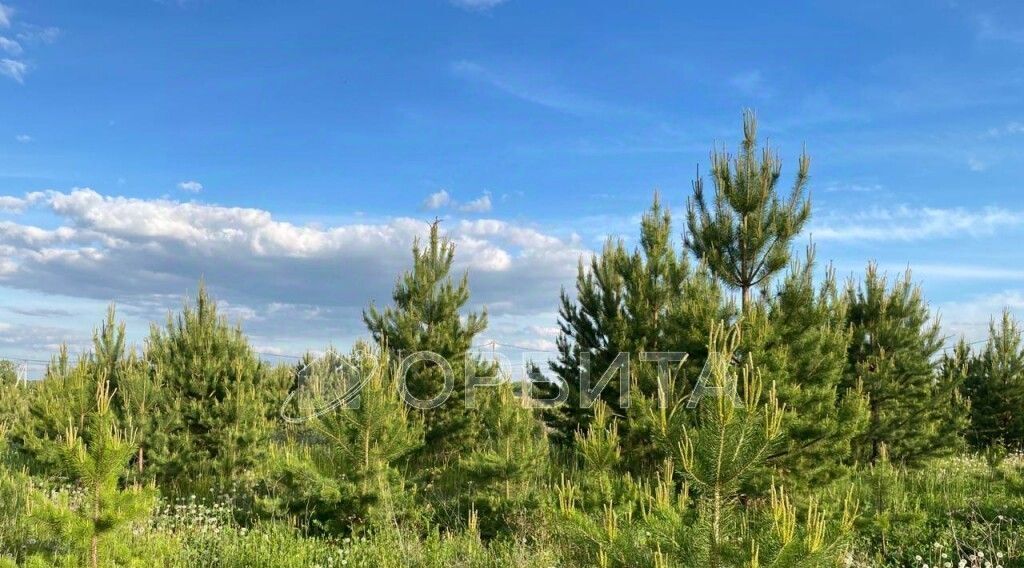 земля р-н Тюменский с Каменка Подушкино ДНТ, проезд Изюмный фото 5