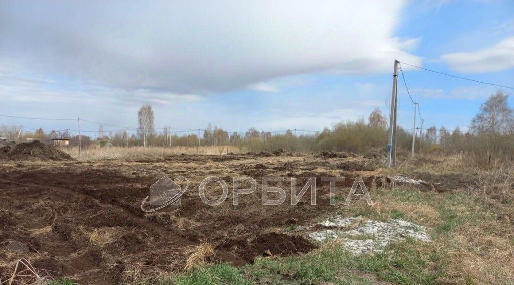 земля г Тюмень р-н Центральный снт Поле чудес-2 фото 3