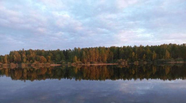 земля городской округ Одинцовский с Андреевское 7А фото 6