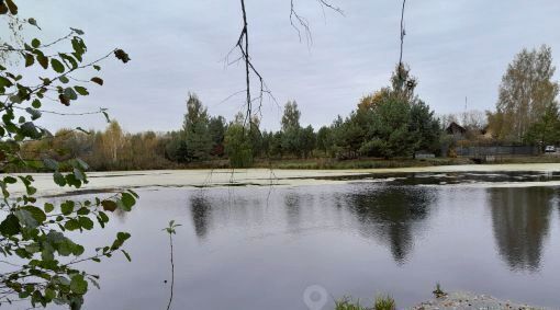 земля городской округ Истра д Мансурово 29 фото 5