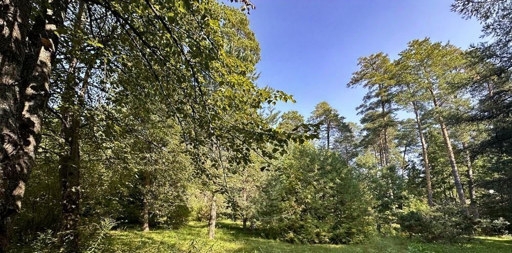 земля городской округ Одинцовский г Звенигород Санаторий Поречье тер. фото 1