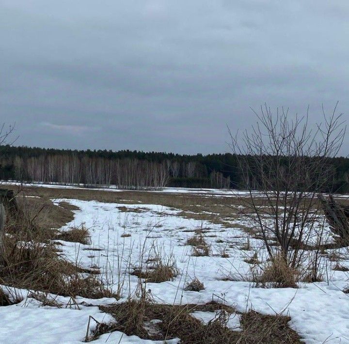 земля р-н Богдановичский д Чудова ул Ленина 12 Богданович городской округ фото 7