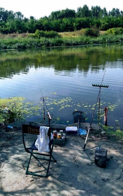 земля р-н Заокский д Карпищево Малаховское, муниципальное образование фото 11