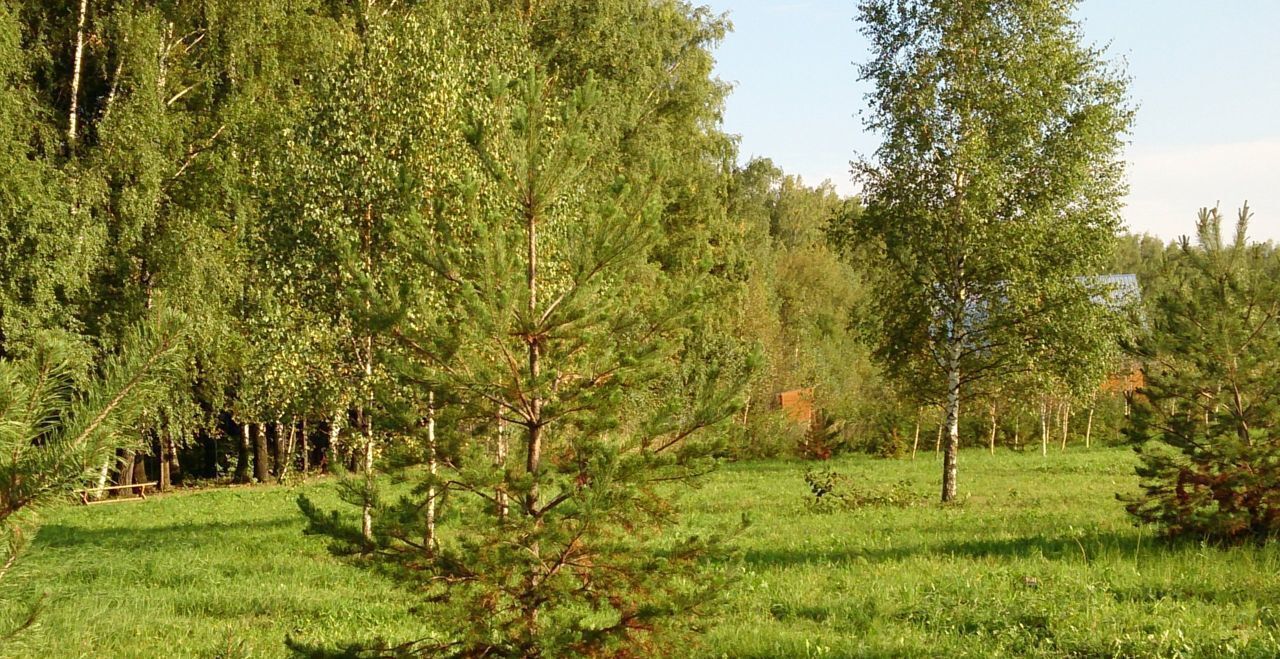 земля р-н Ясногорский с Башино 98 км, Иваньковское, Московская область, Кашира, муниципальное образование, направление Павелецкое (юго-<текст-удален>, Каширское шоссе фото 12