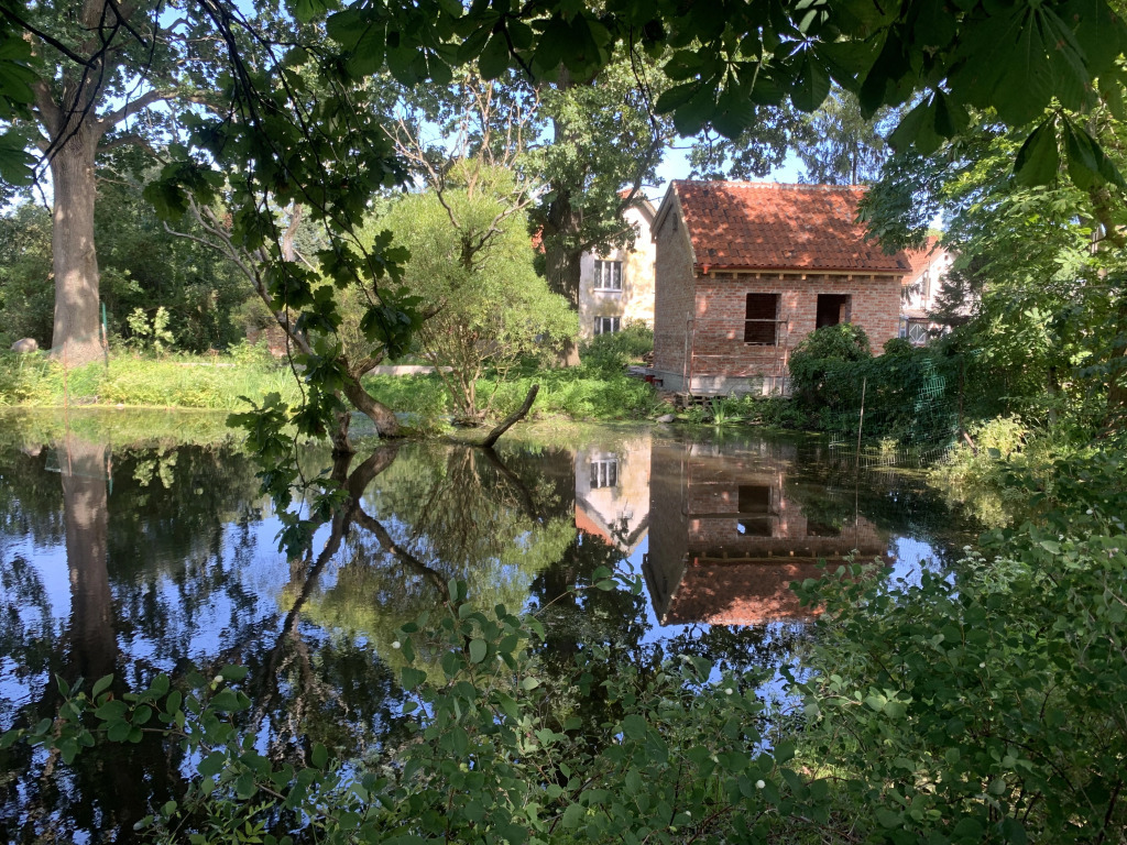 квартира р-н Зеленоградский г Зеленоградск фото 36