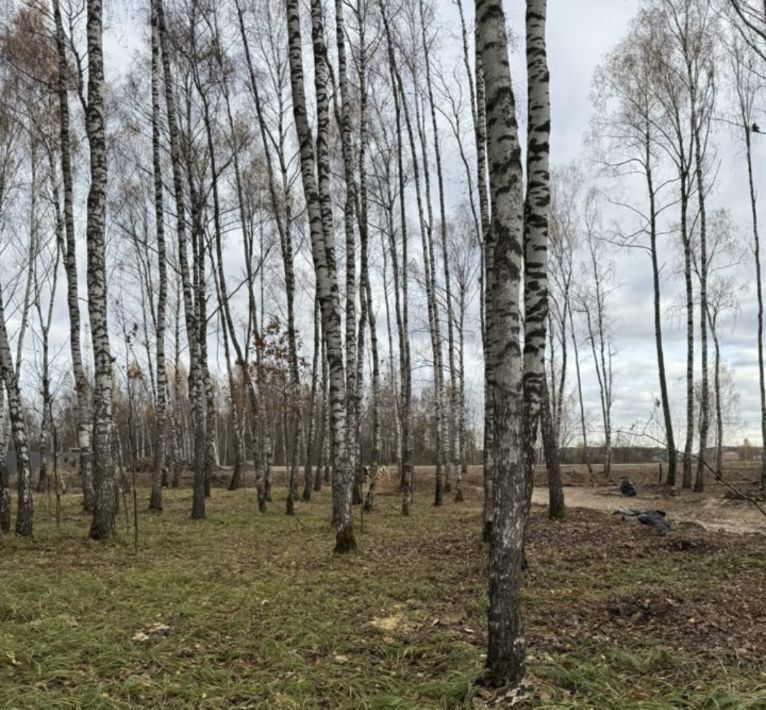 земля городской округ Серпухов д Новая снт Родники д. Родионовка фото 7