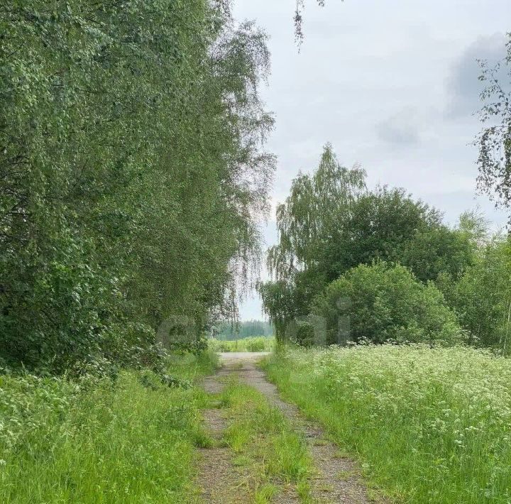 производственные, складские р-н Нерехтский с Спас ул Центральная Волжское с/пос фото 30