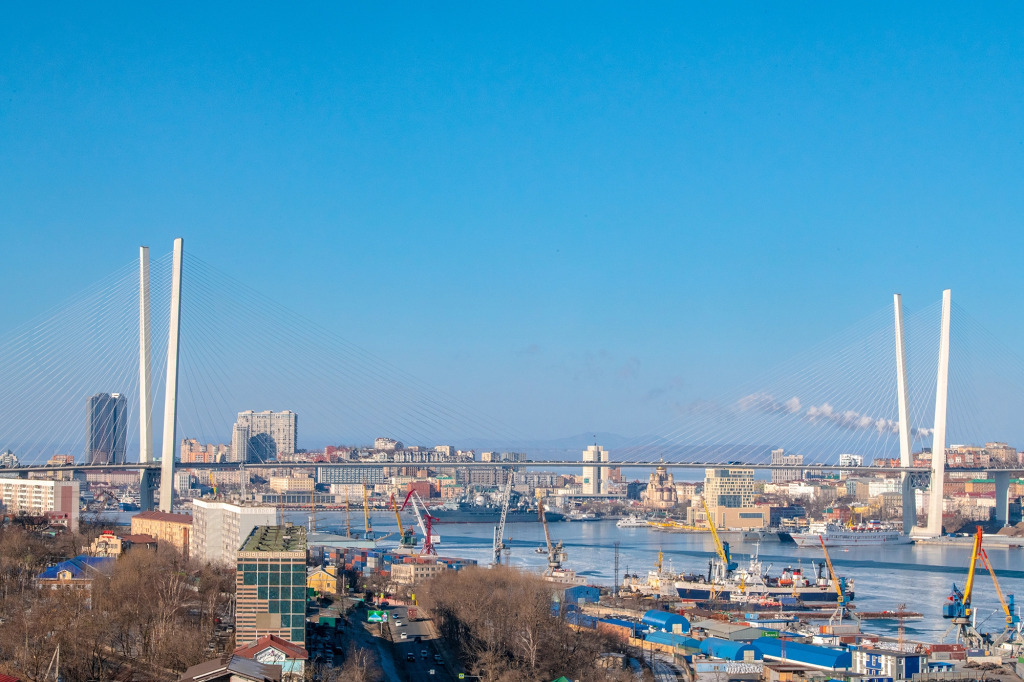 квартира г Владивосток р-н Первомайский ул Можжевеловая 18 фото 8