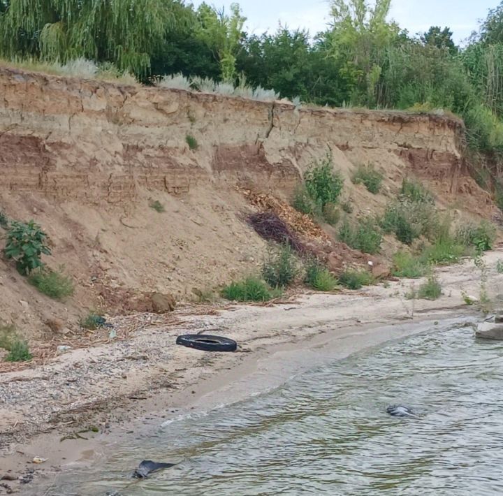 дом р-н Городищенский рп Ерзовка снт тер.Птицевод Ерзовское городское поселение, 17 фото 12