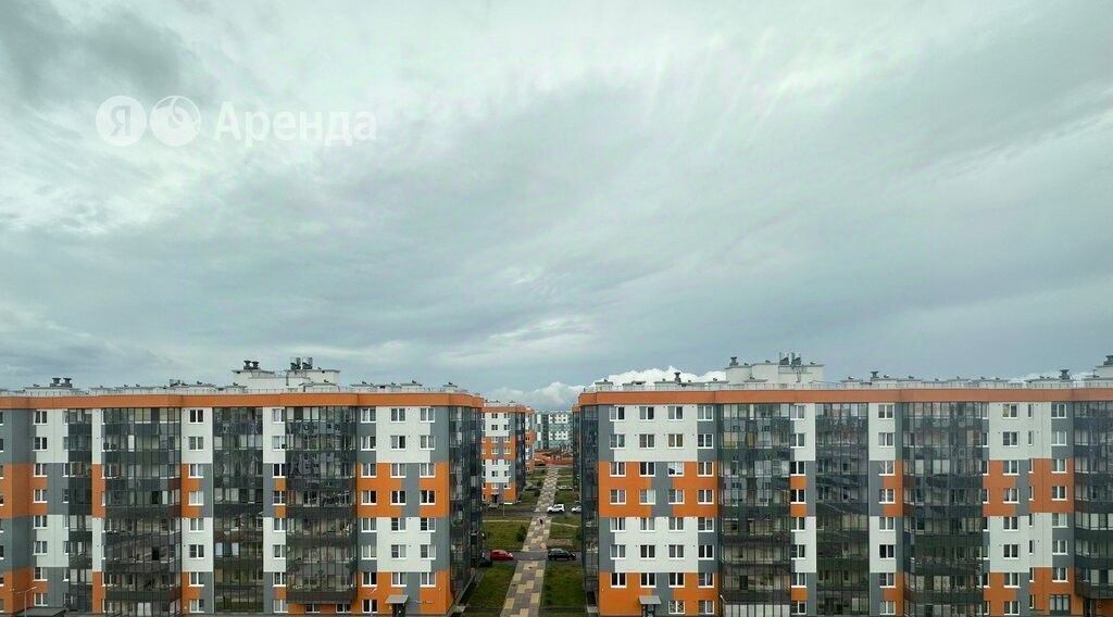 квартира р-н Всеволожский Янино-1 городской поселок, Ладожская, ул. Ясная, 14к 3 фото 13