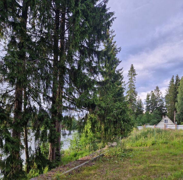 земля р-н Выборгский п Лебяжье Рощинское городское поселение фото 11