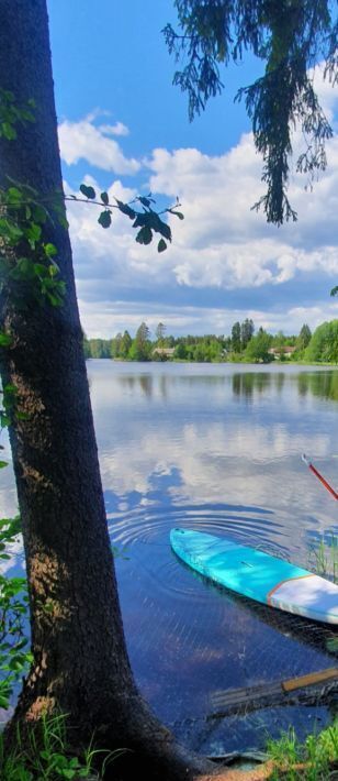 земля р-н Выборгский п Лебяжье Рощинское городское поселение фото 34