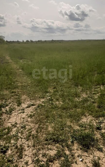 земля р-н Тосненский д Бабино Трубникоборское сельское поселение фото 3