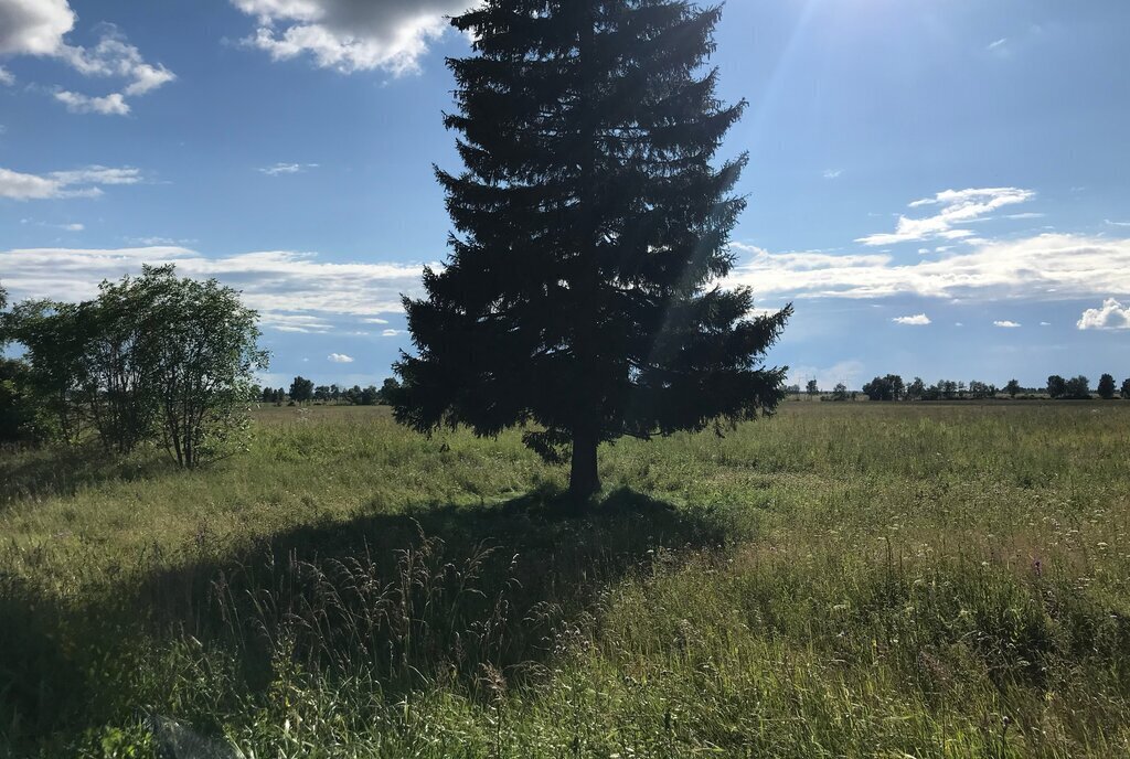 земля городской округ Можайский д Клементьево ул Липерка фото 3