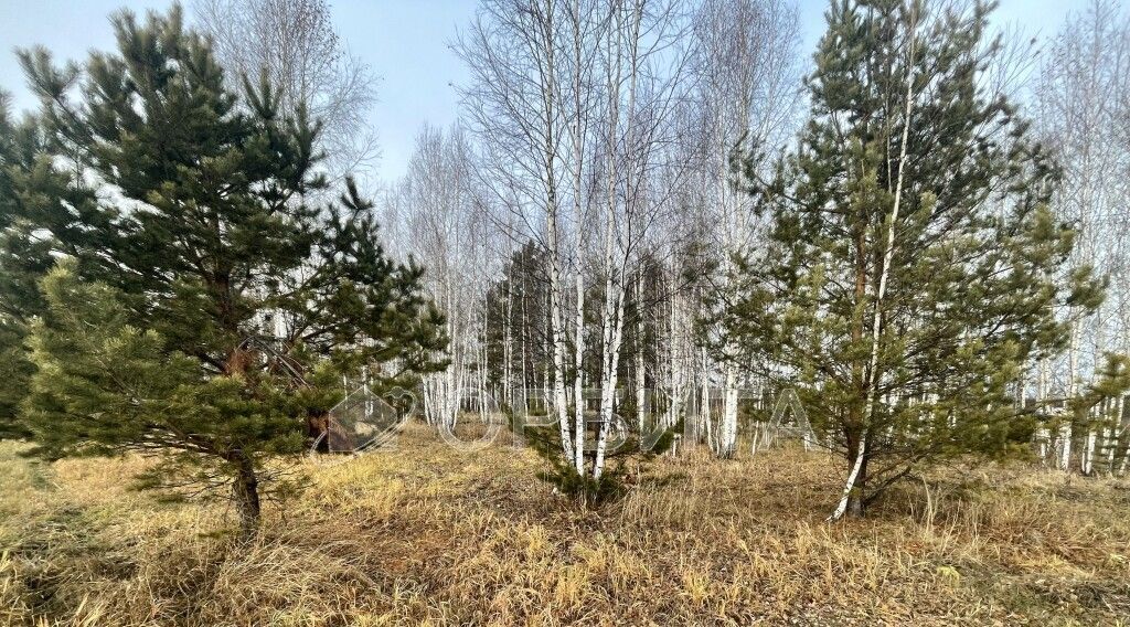 земля р-н Нижнетавдинский снт Геолог-2 фото 16