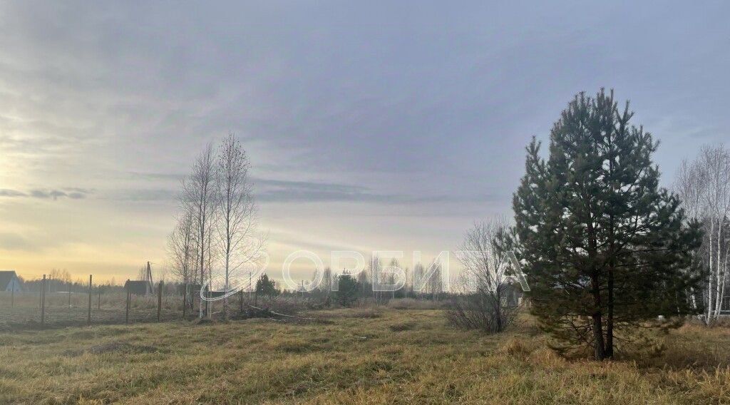 земля р-н Нижнетавдинский снт Геолог-2 фото 26