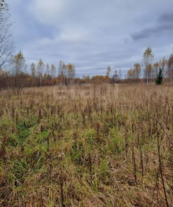 земля р-н Шарьинский г Шарья д Алешунино ул Луговая фото 1