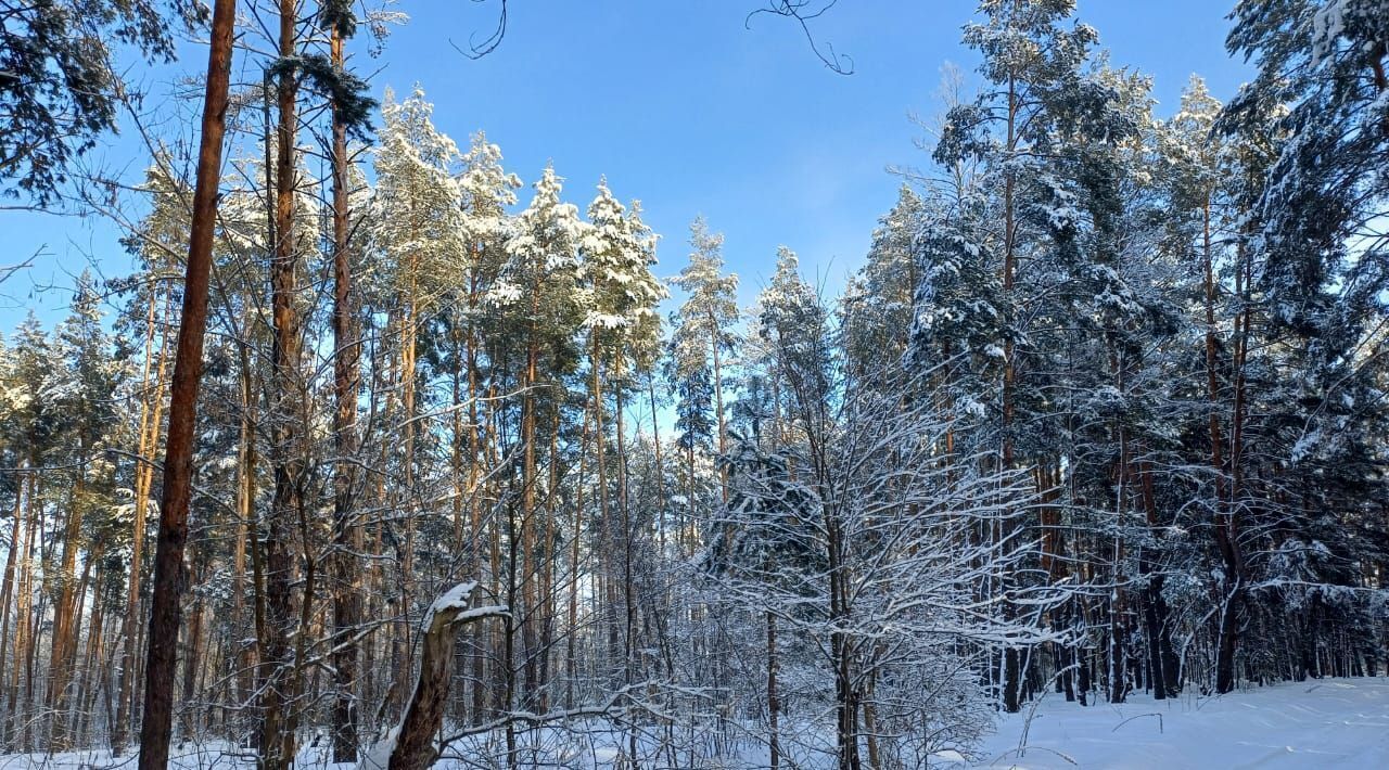 земля р-н Знаменский с Царёвка фото 1