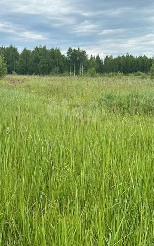 ул Кутузова городское поселение Нерехта фото