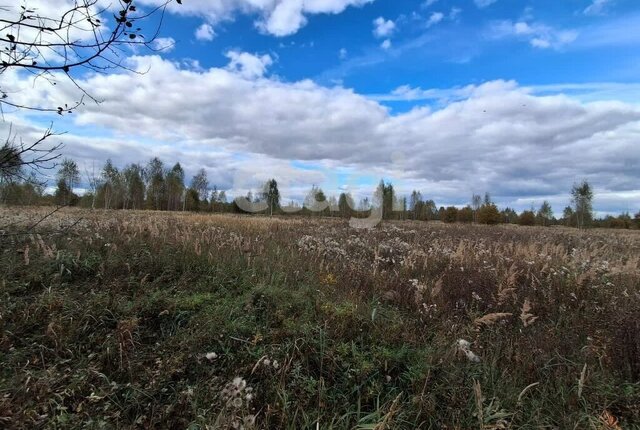 земля п Волжский фото