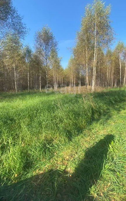 земля р-н Костромской д Турабьево Минское сельское поселение фото 1