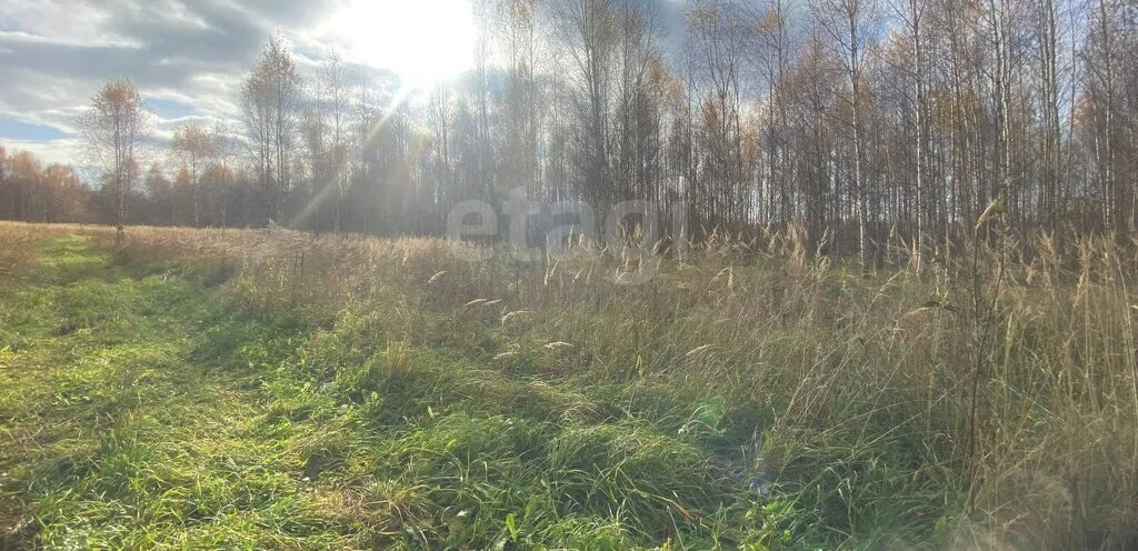 земля р-н Костромской д Турабьево Минское сельское поселение фото 2