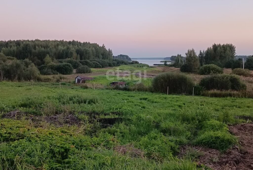 земля р-н Красносельский д Волчково Боровиковское сельское поселение фото 3